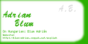 adrian blum business card