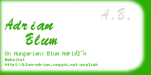 adrian blum business card